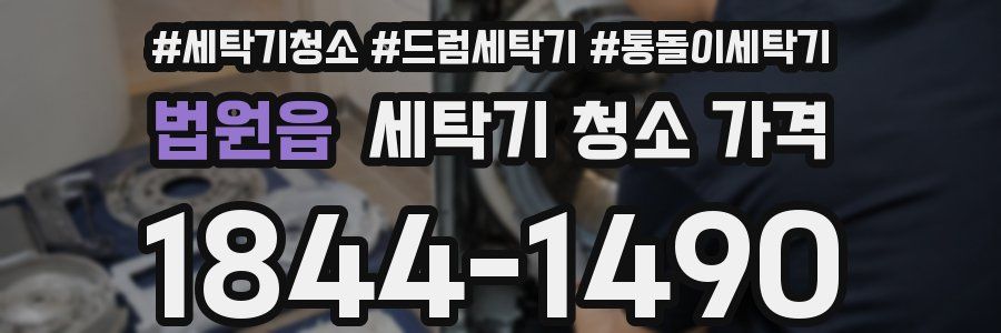 법원읍 세탁기 청소 가격
