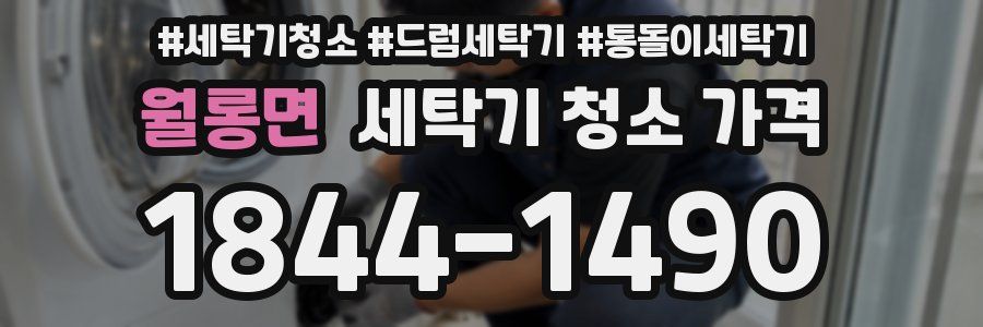 월롱면 세탁기 청소 가격