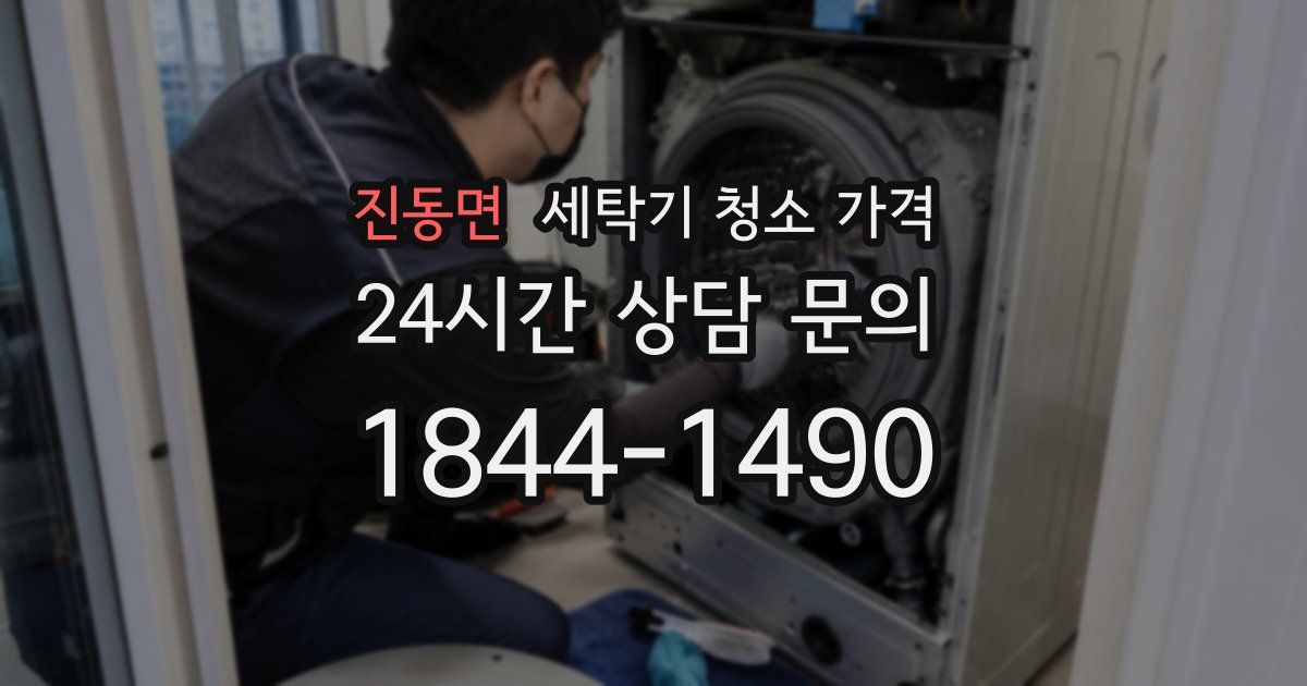 진동면 세탁기 청소 가격