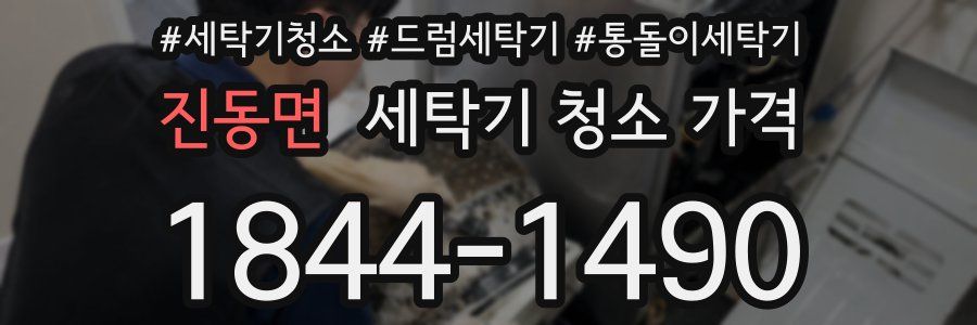 진동면 세탁기 청소 가격