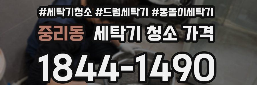 중리동 세탁기 청소 가격