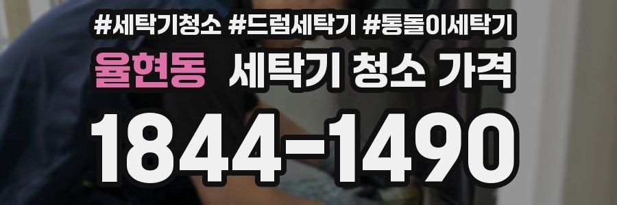 율현동 세탁기 청소 가격