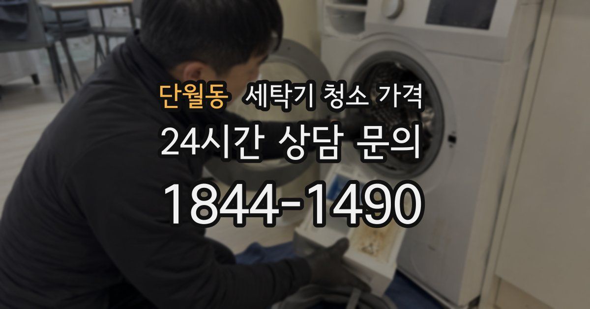 단월동 세탁기 청소 가격