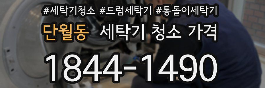 단월동 세탁기 청소 가격