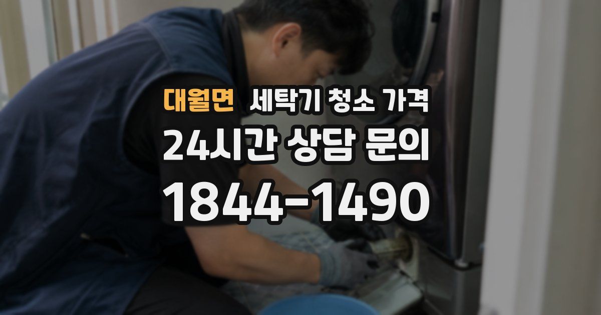 대월면 세탁기 청소 가격