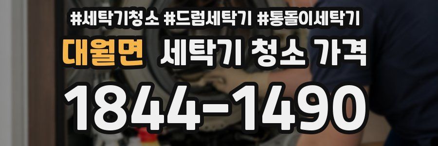 대월면 세탁기 청소 가격