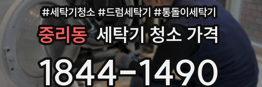 중리동 세탁기 청소 가격
