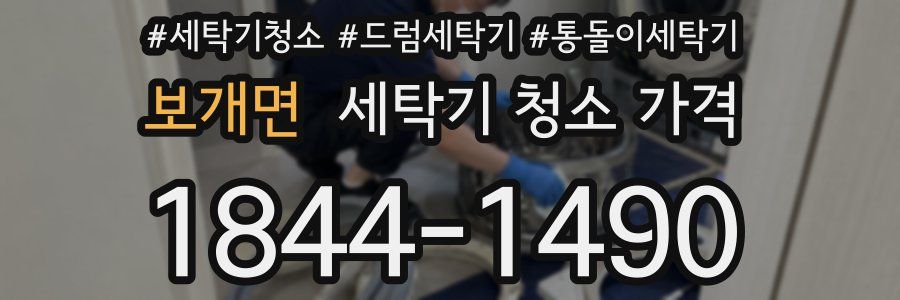 보개면 세탁기 청소 가격