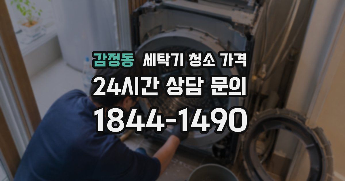 감정동 세탁기 청소 가격