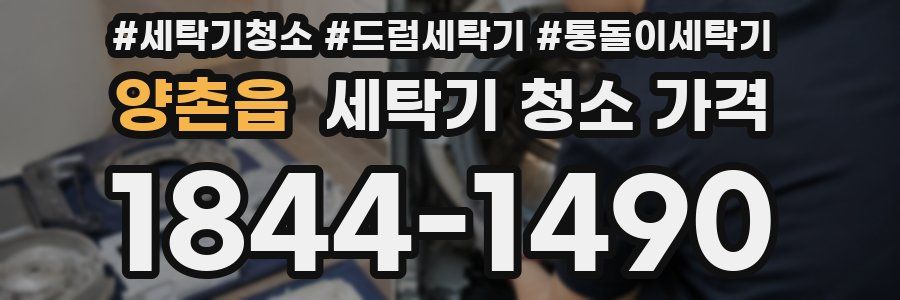 양촌읍 세탁기 청소 가격