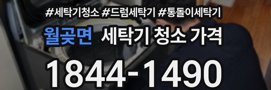 월곶면 세탁기 청소 가격