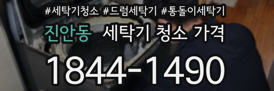 진안동 세탁기 청소 가격