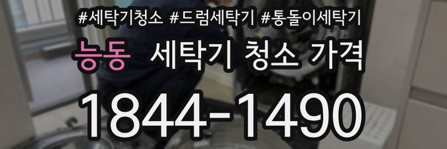 능동 세탁기 청소 가격