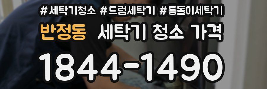 반정동 세탁기 청소 가격