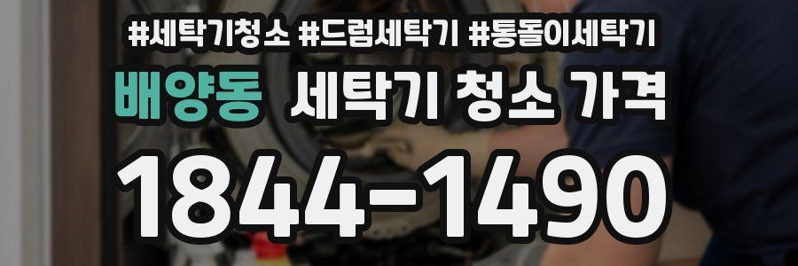 배양동 세탁기 청소 가격