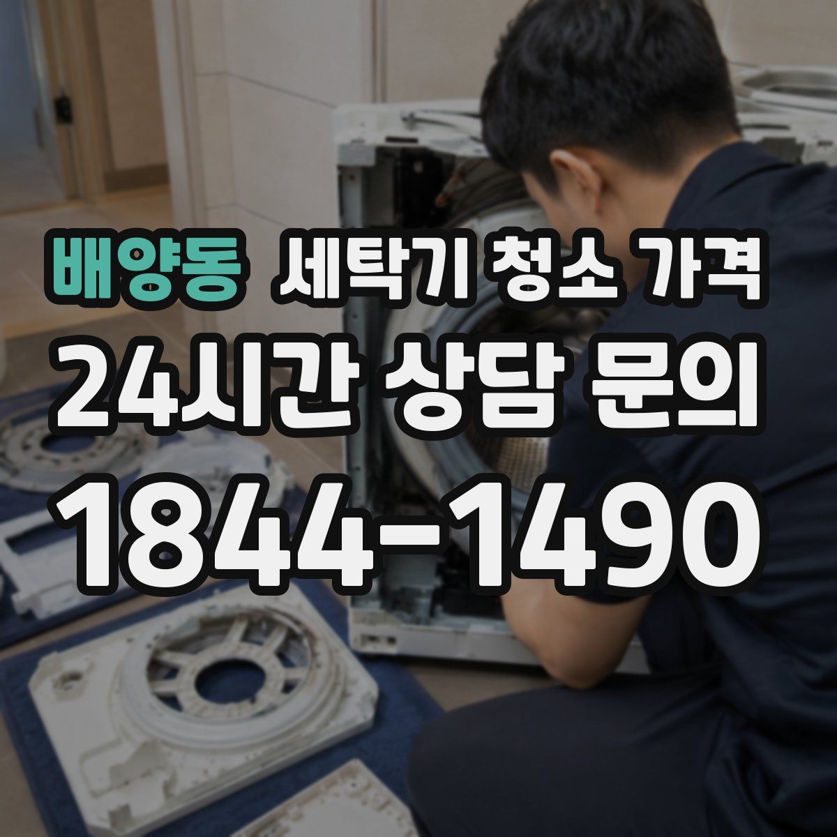 배양동 세탁기 청소 가격