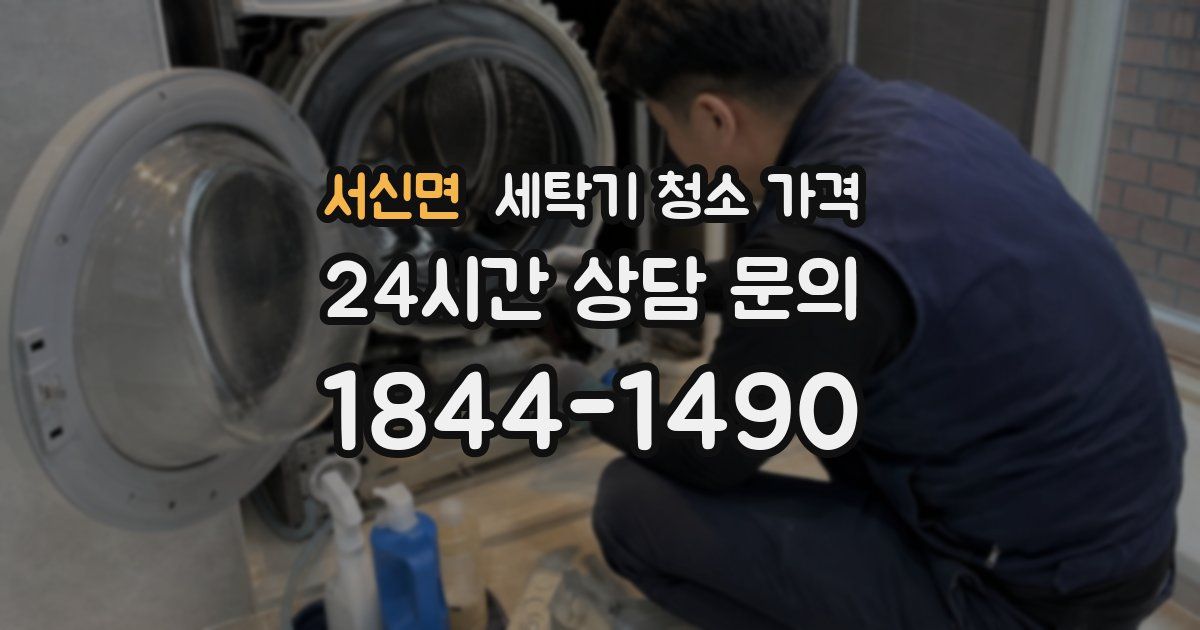 서신면 세탁기 청소 가격