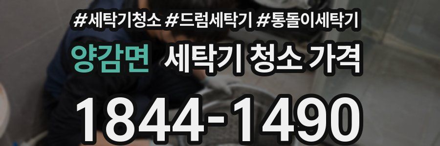 양감면 세탁기 청소 가격