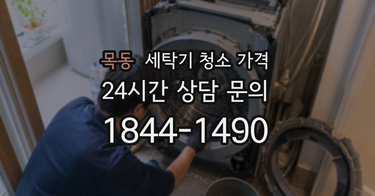 목동 세탁기 청소 가격