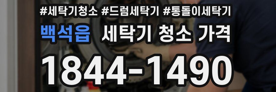 백석읍 세탁기 청소 가격