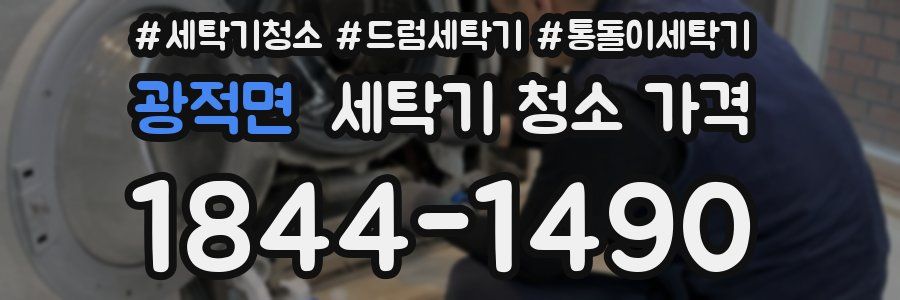 광적면 세탁기 청소 가격
