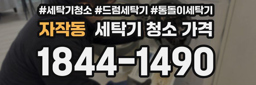 자작동 세탁기 청소 가격