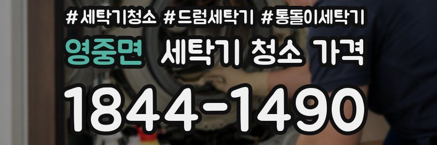 영중면 세탁기 청소 가격