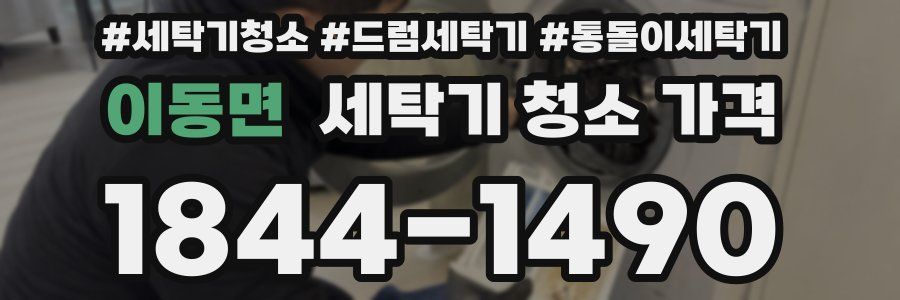 이동면 세탁기 청소 가격