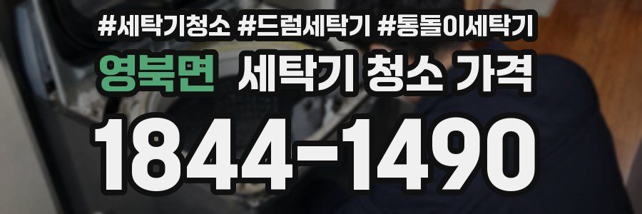 영북면 세탁기 청소 가격