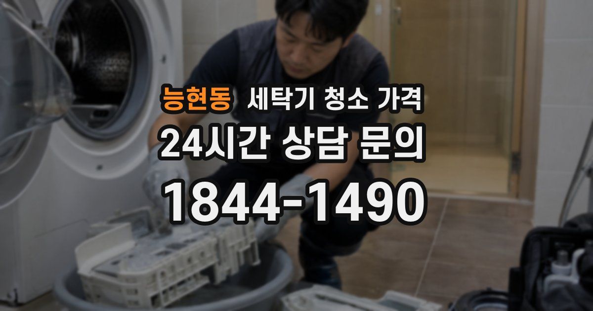 능현동 세탁기 청소 가격