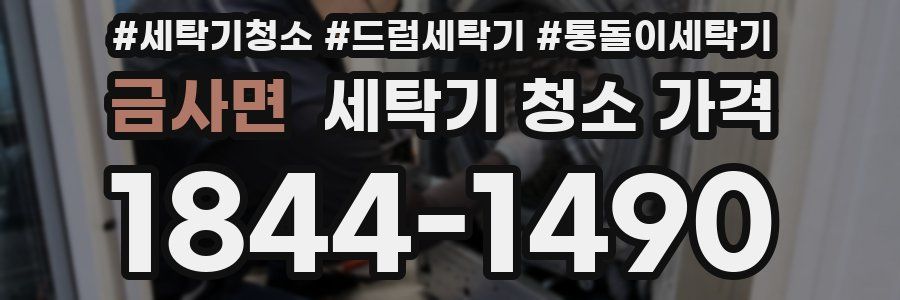 금사면 세탁기 청소 가격