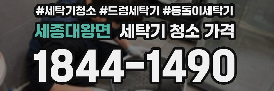 세종대왕면 세탁기 청소 가격