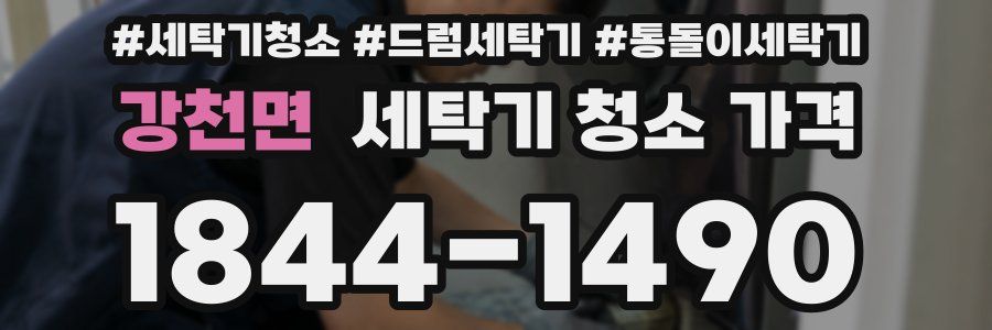 강천면 세탁기 청소 가격
