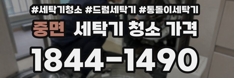 중면 세탁기 청소 가격