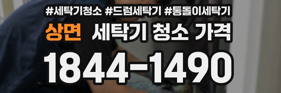상면 세탁기 청소 가격