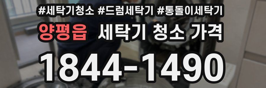 양평읍 세탁기 청소 가격