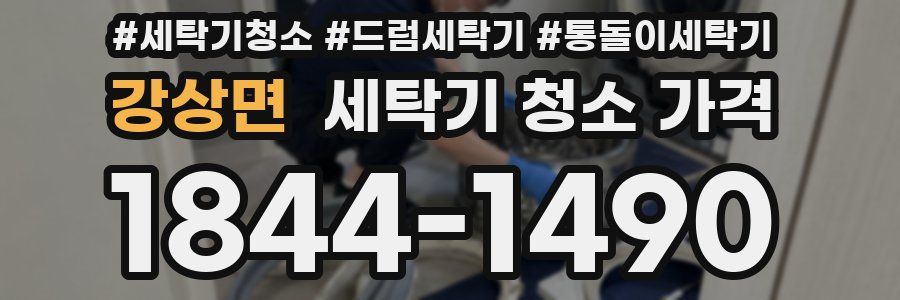강상면 세탁기 청소 가격