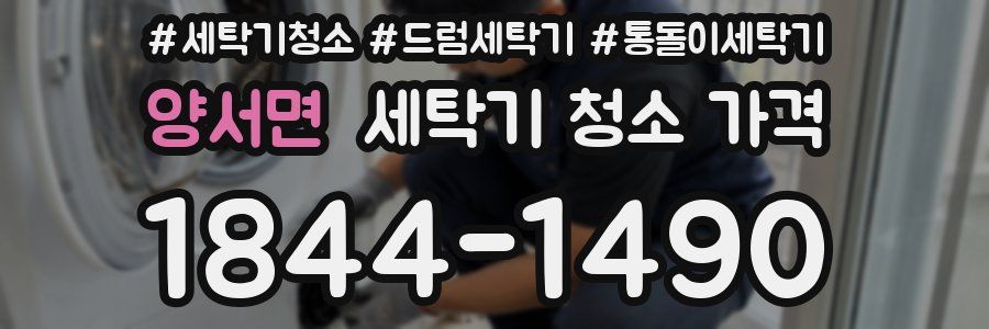 양서면 세탁기 청소 가격