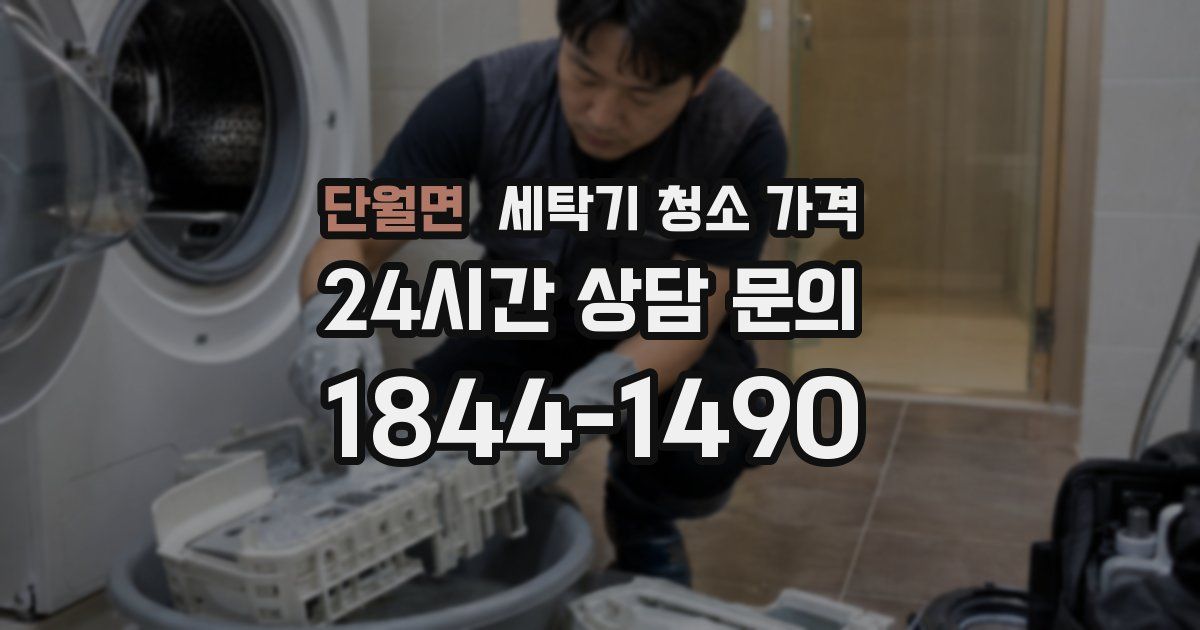 단월면 세탁기 청소 가격