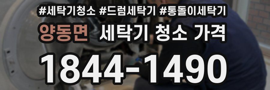 양동면 세탁기 청소 가격