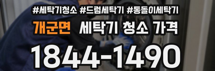 개군면 세탁기 청소 가격
