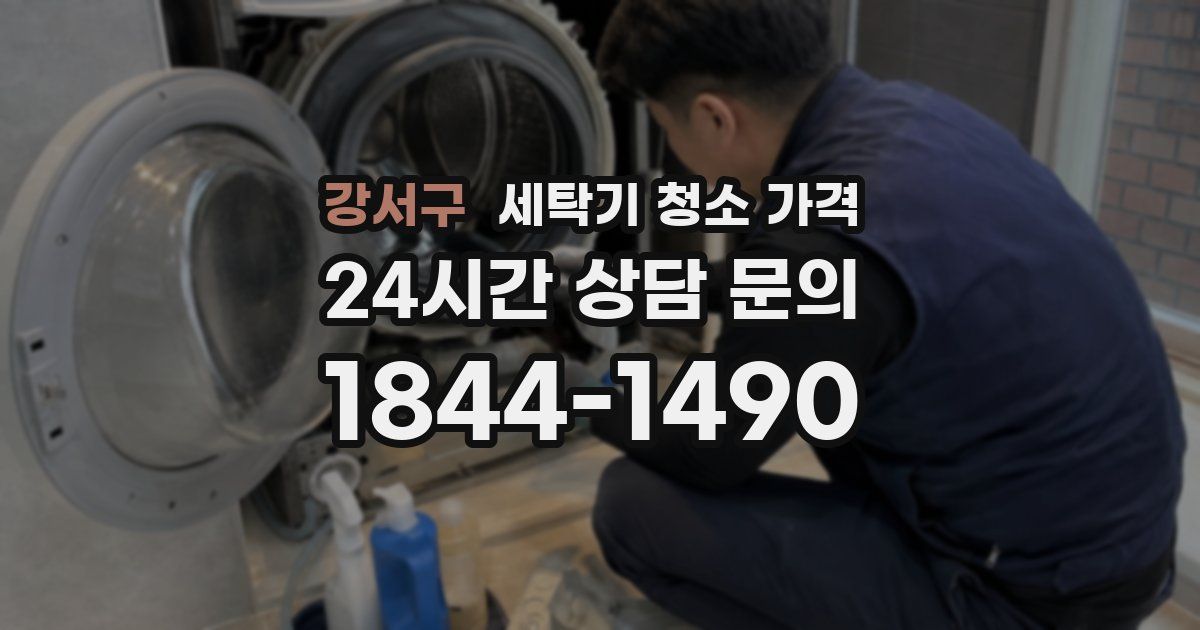 강서구 세탁기 청소 가격