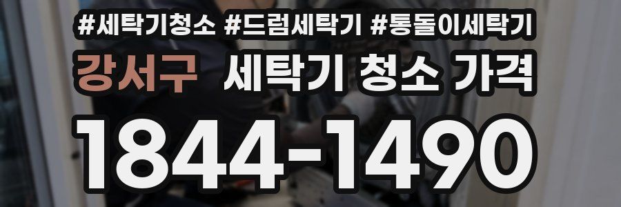 강서구 세탁기 청소 가격