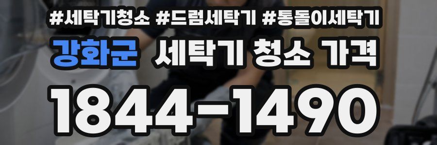 강화군 세탁기 청소 가격