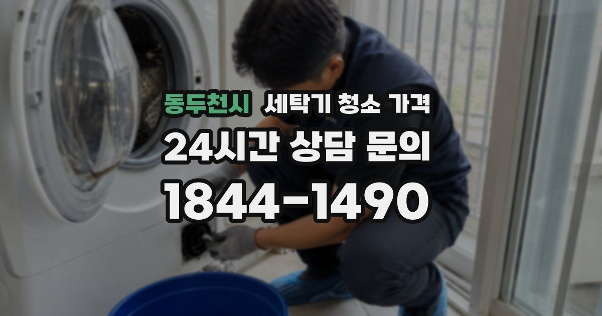 동두천시 세탁기 청소 가격
