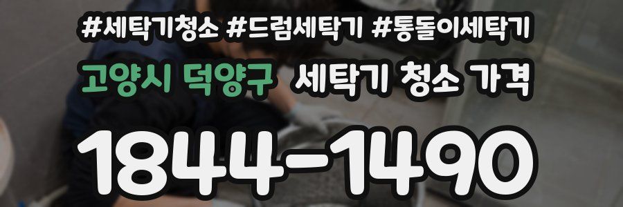 고양시 덕양구 세탁기 청소 가격
