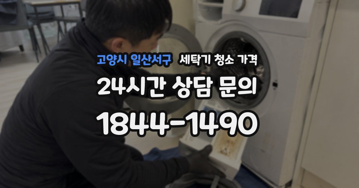 고양시 일산서구 세탁기 청소 가격