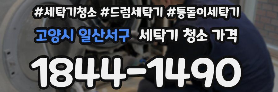 고양시 일산서구 세탁기 청소 가격