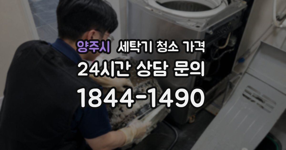 양주시 세탁기 청소 가격