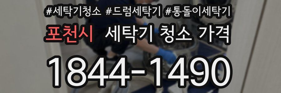 포천시 세탁기 청소 가격